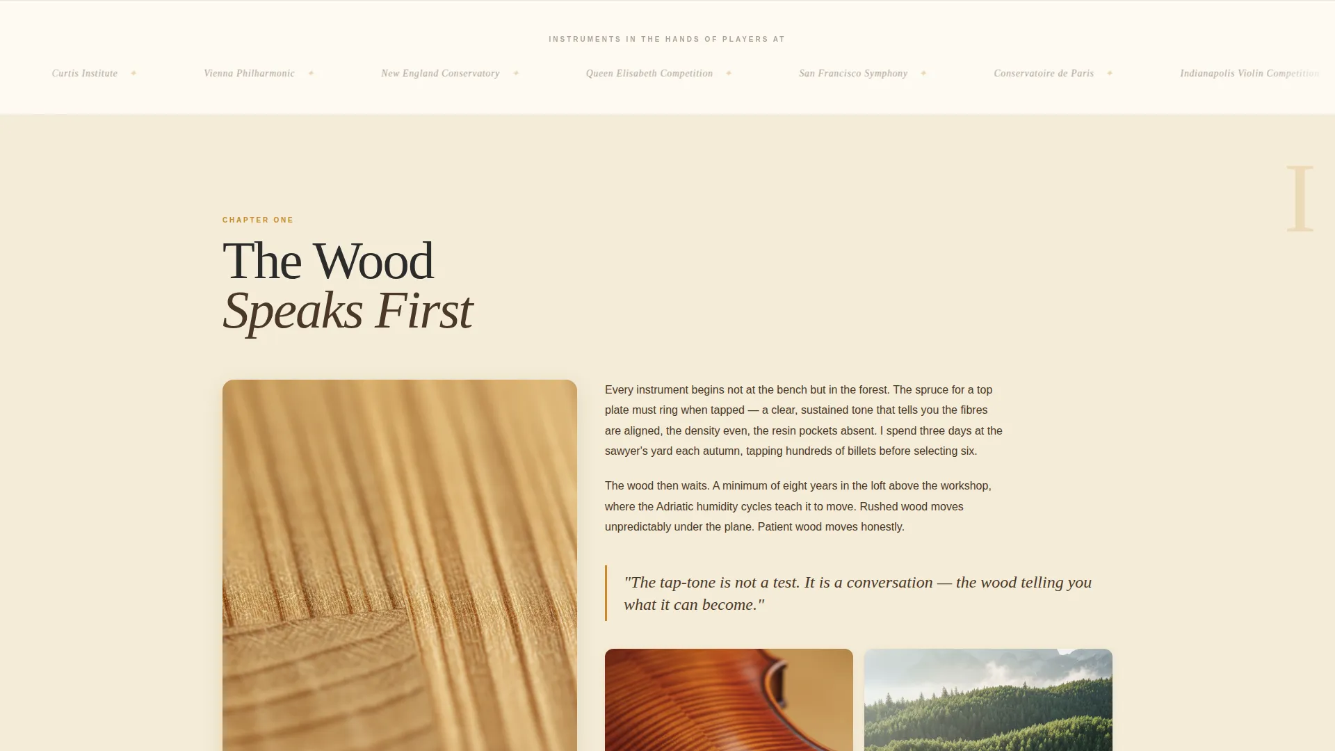 Artisan Violin Maker Landing Page Template