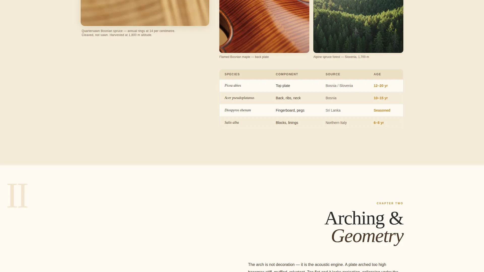 Artisan Violin Maker Landing Page Template