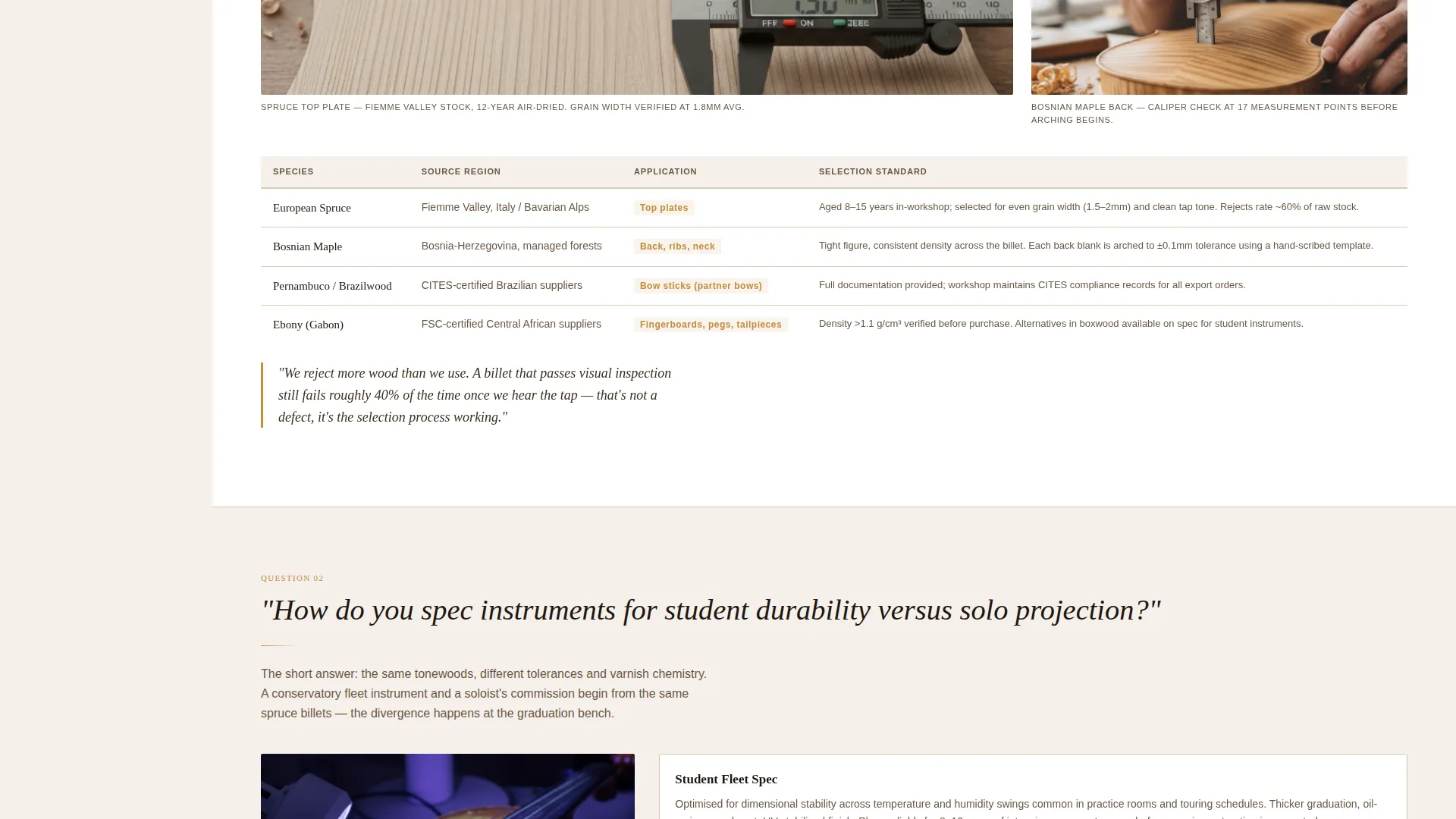 Violin Maker Landing Page Template for B2B Outreach