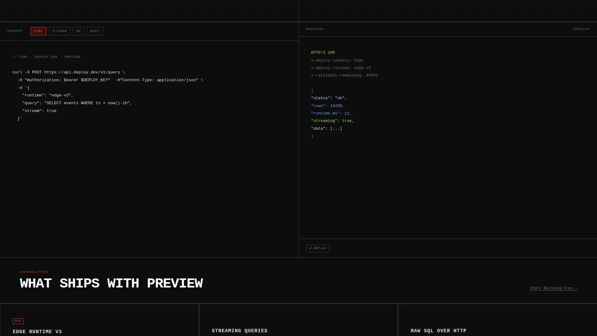 Brutalist Developer Preview Landing Page Template