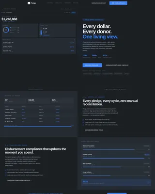 Donation Management Platform Landing Page Template
