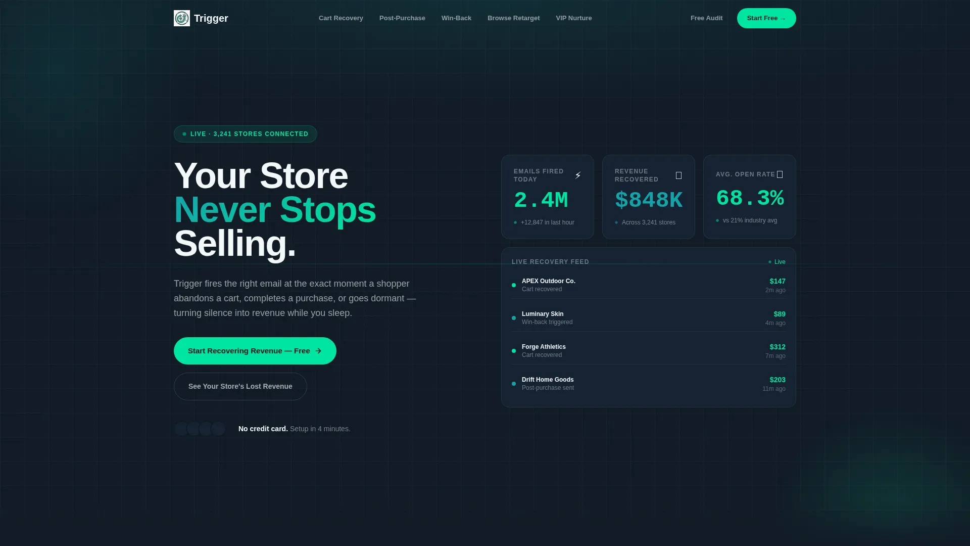 Automated eCommerce Email Landing Page Template