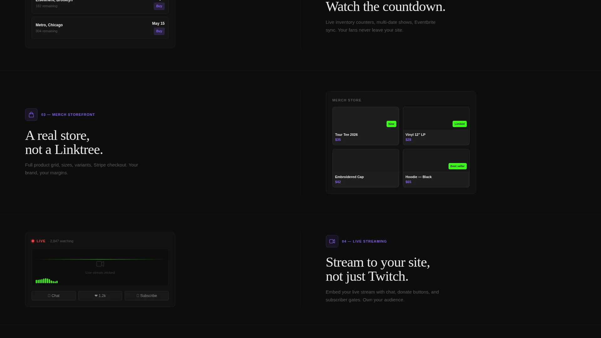 Electric Entertainment Website Builder Landing Page