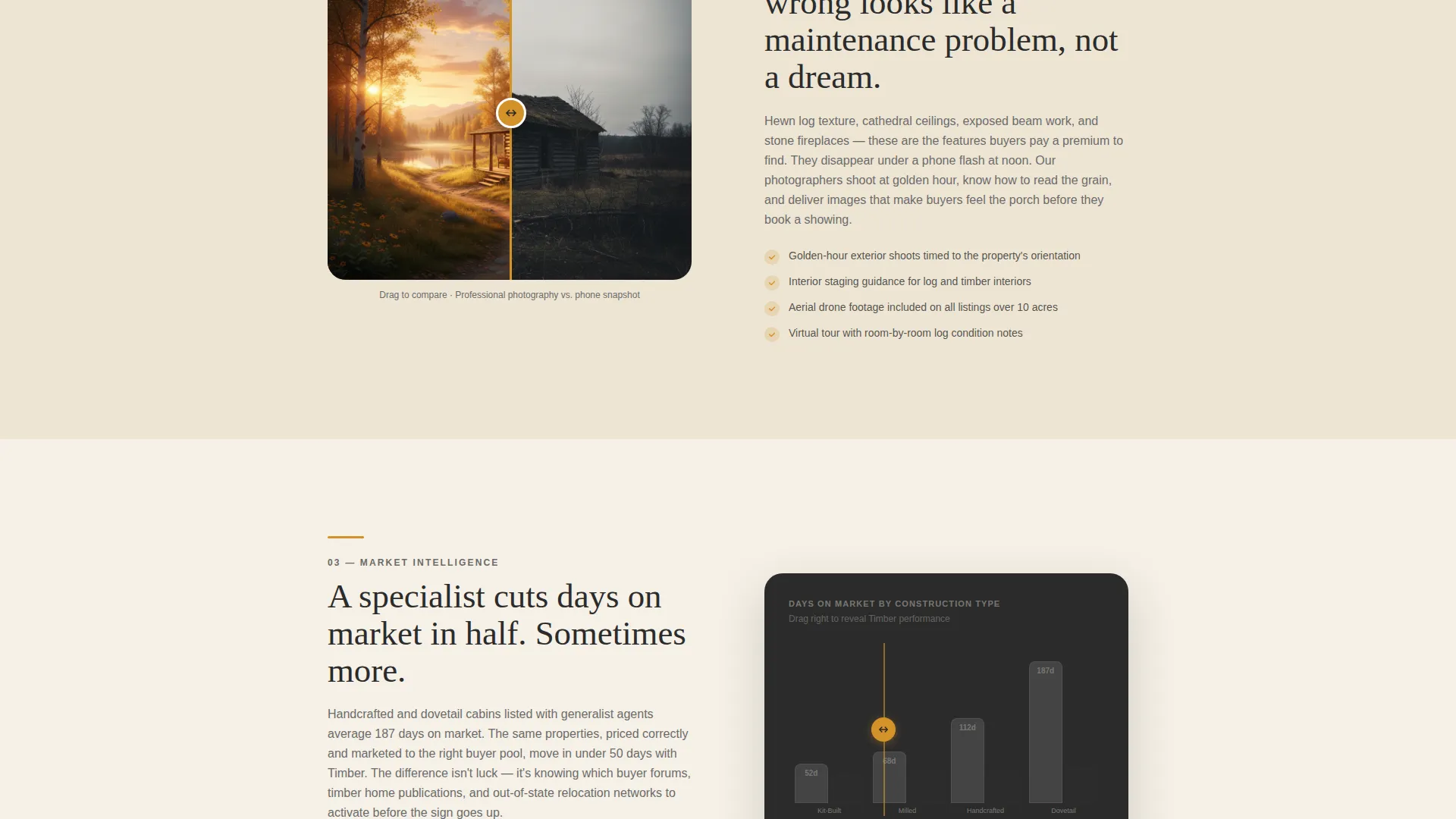 Log Cabin Specialist Agent Landing Page Template
