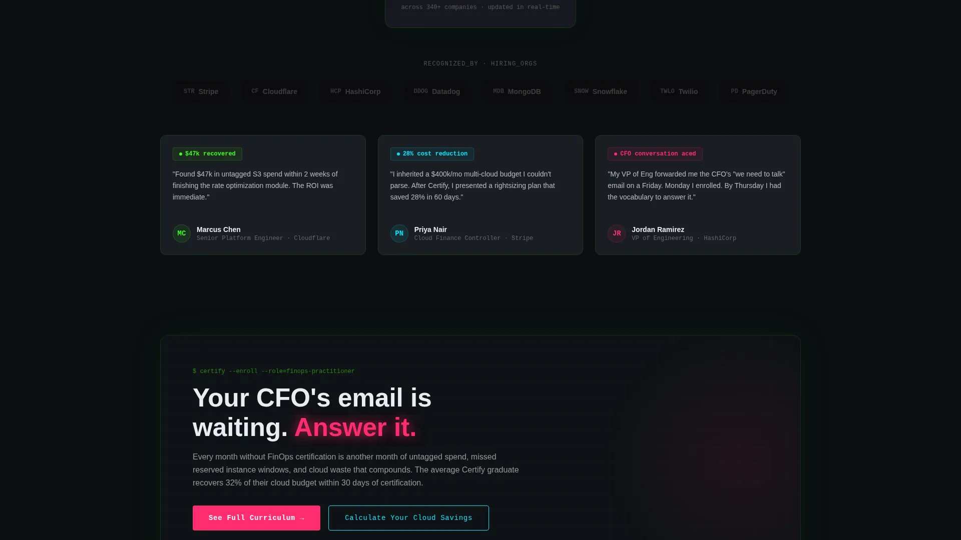 FinOps Technology Specialist Professional Website Template