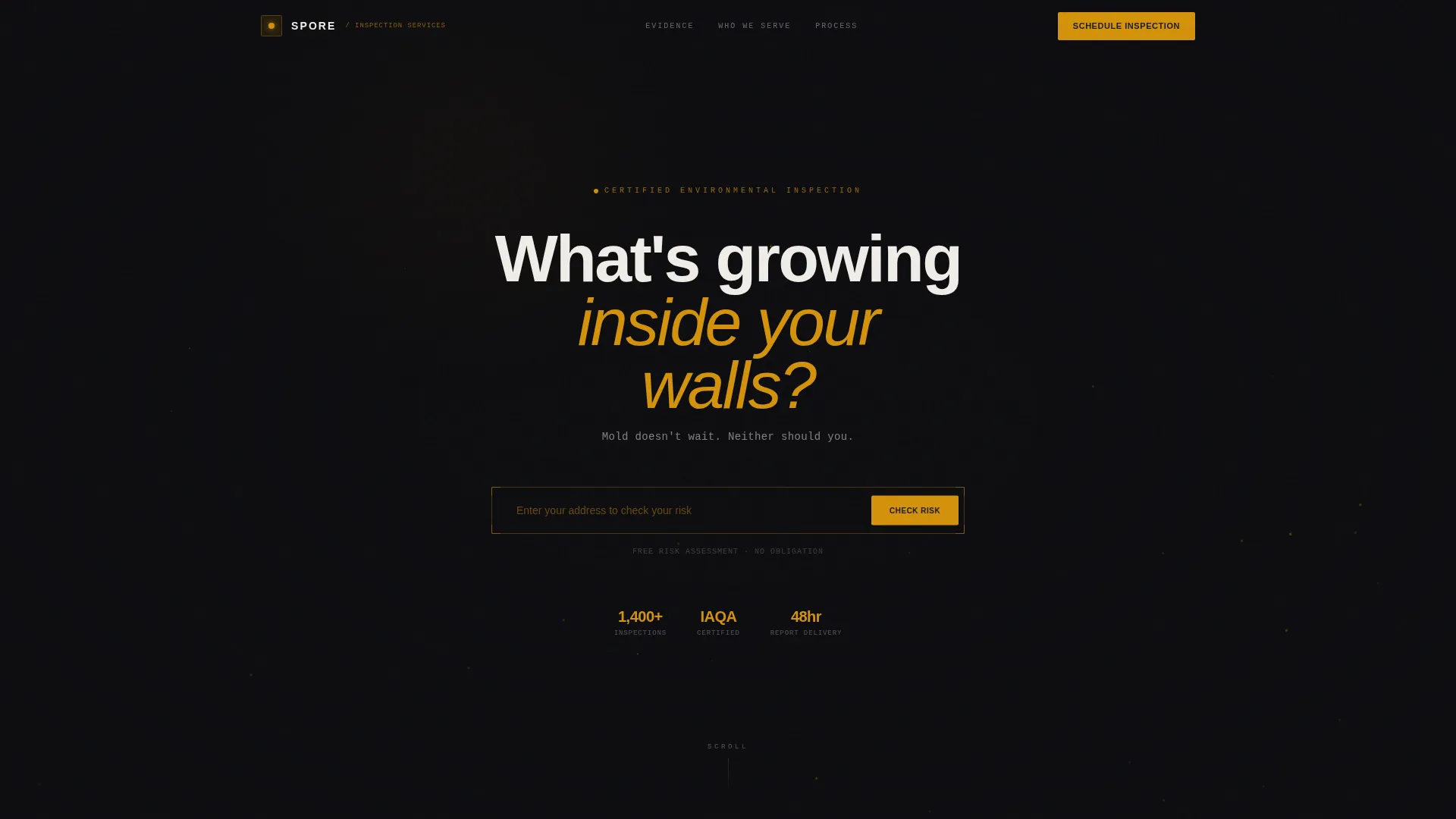 Mold Inspection Landing Page Template