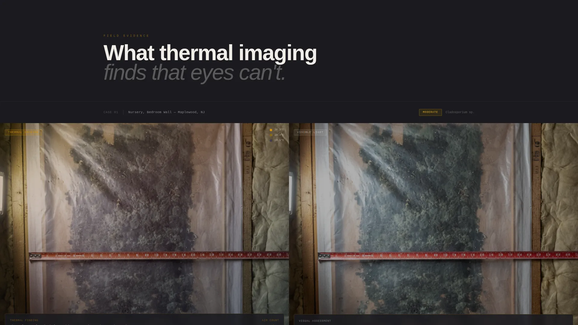 Mold Inspection Landing Page Template