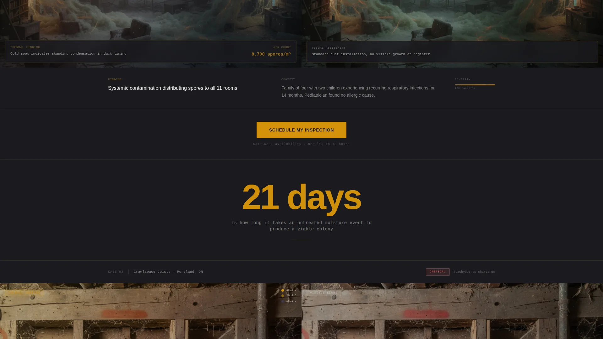 Mold Inspection Landing Page Template