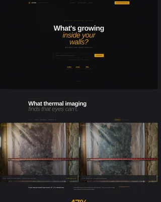 Mold Inspection Landing Page Template