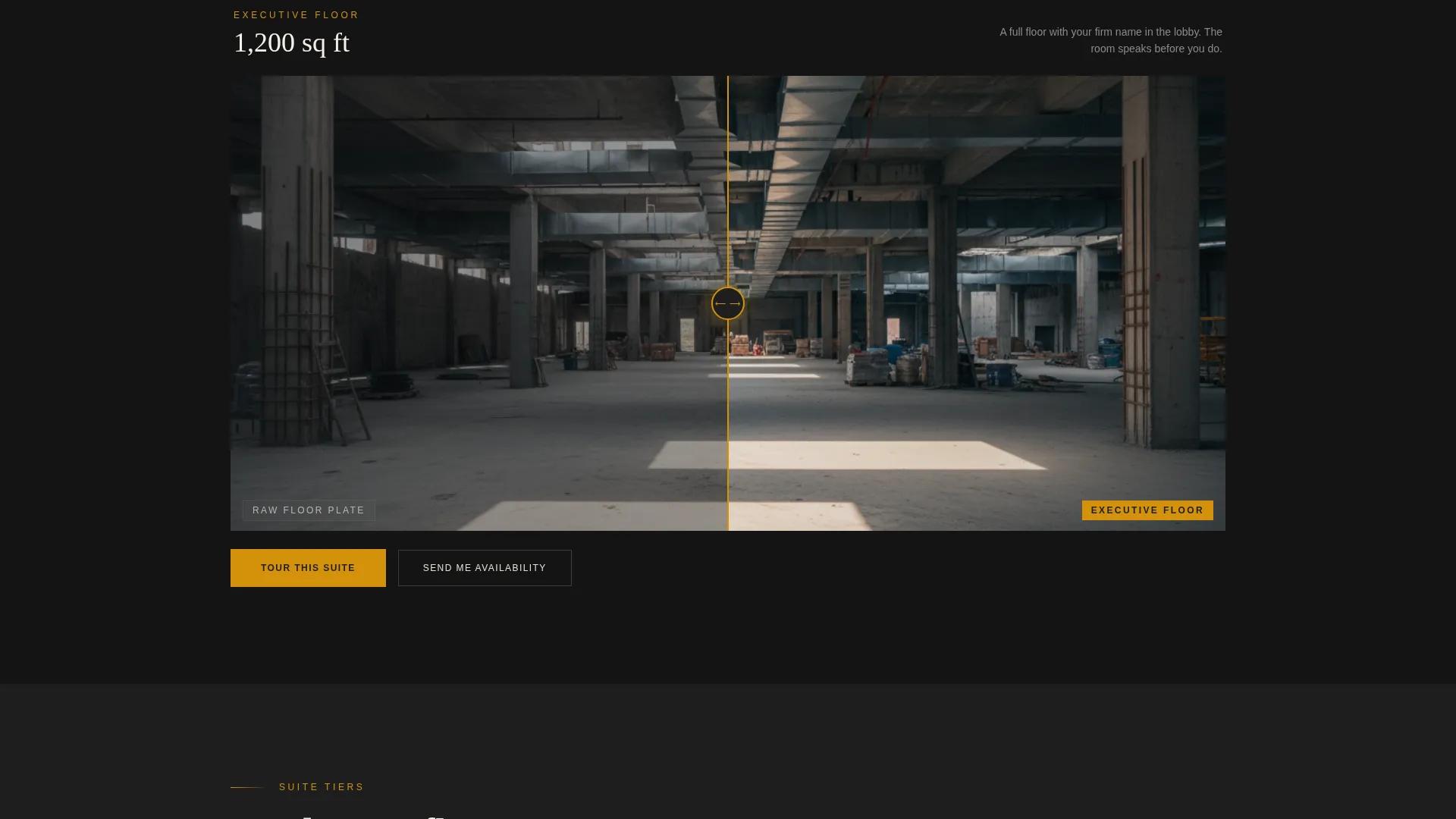 Luxe Private Office Landing Page Template