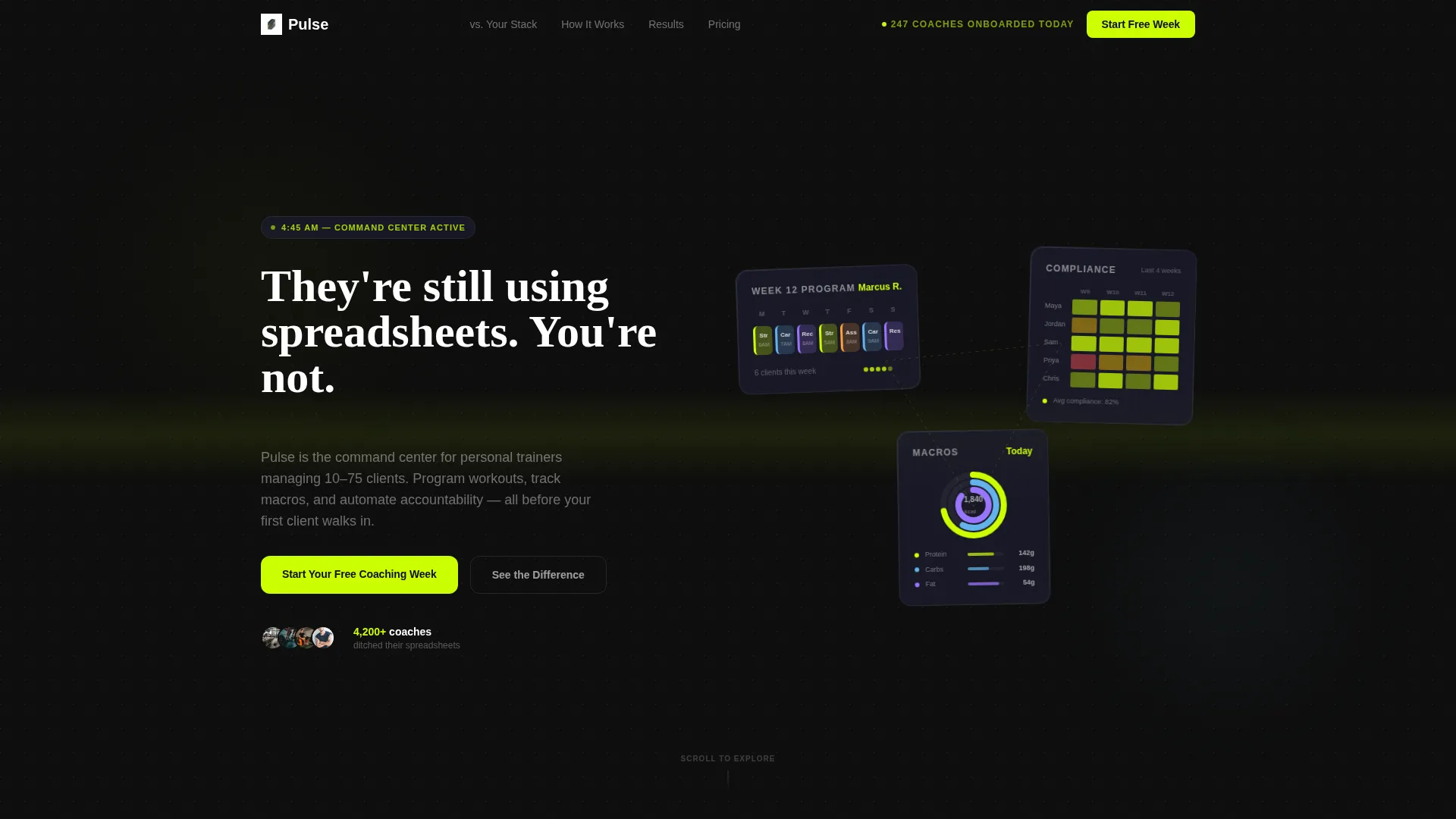 Fitness Software & SaaS Specialist Professional Website Template