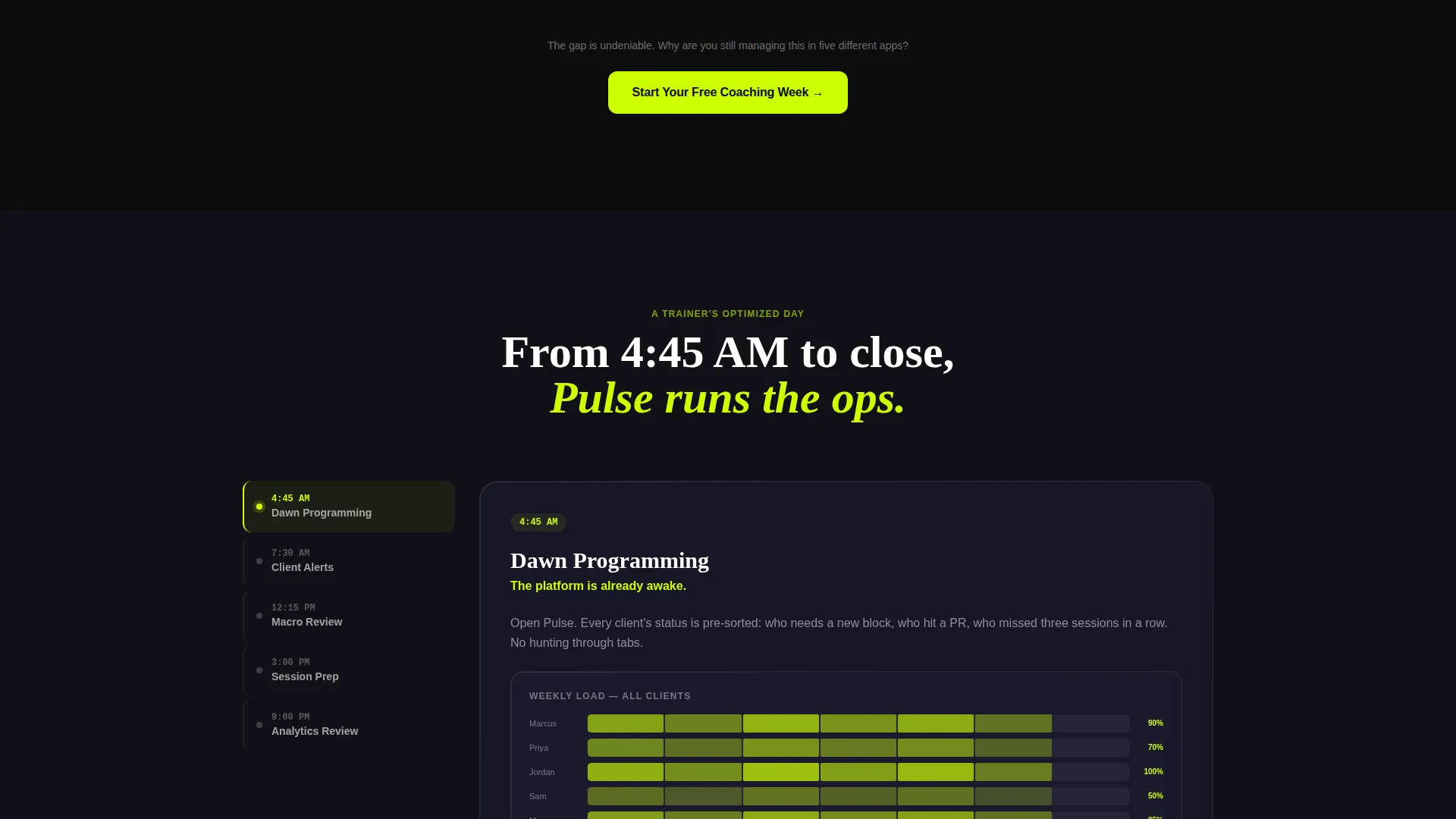 Fitness Software & SaaS Specialist Professional Website Template