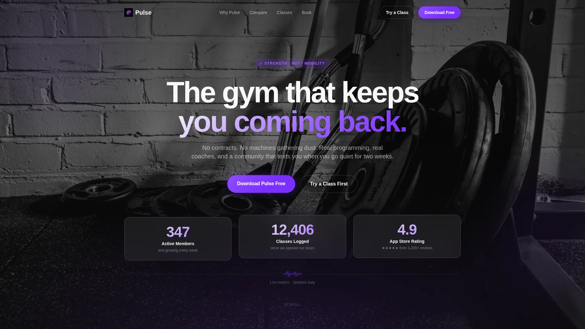 Fitness Studio Expert Booking Website Template