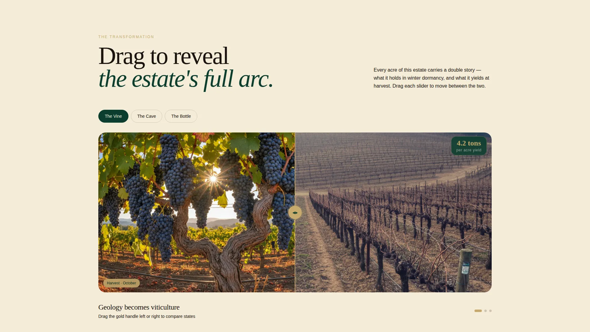 Prestigious Vineyard Estate Landing Page Template