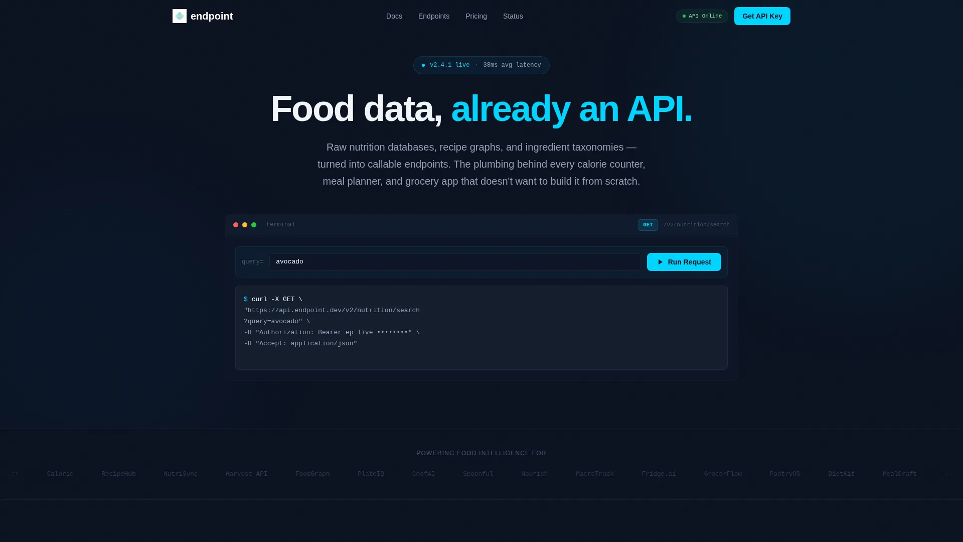 FoodTech API Landing Page Template for Developers