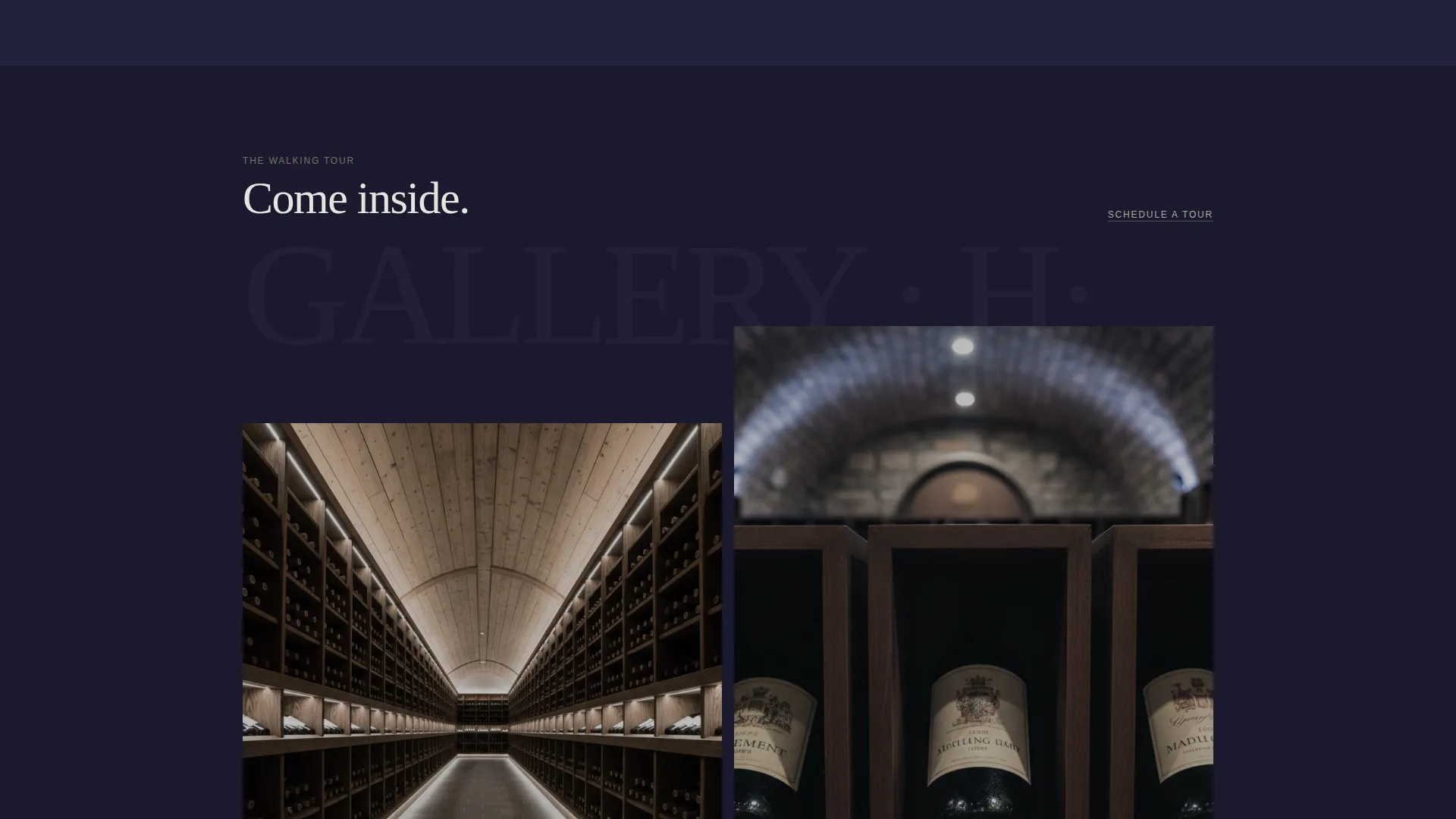 Immersive Wine Storage Landing Page Template