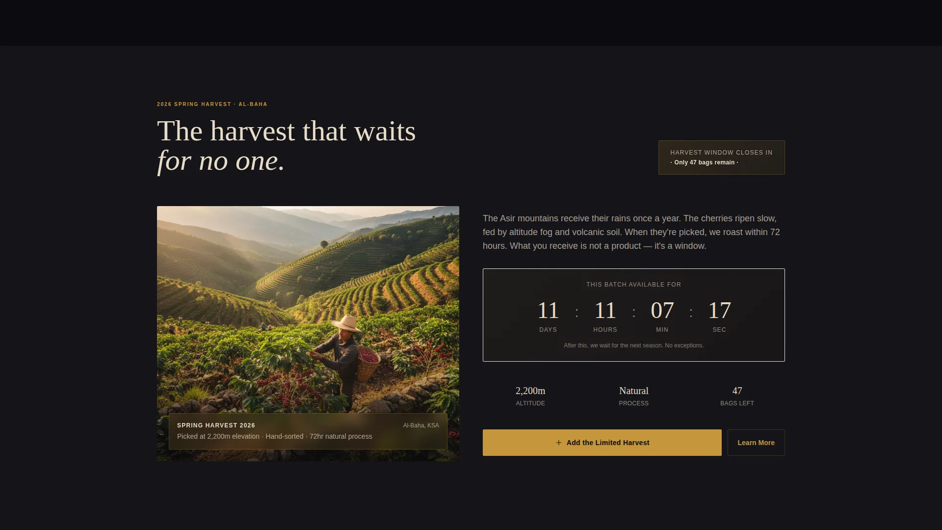 Ceremonial Arabic Coffee Landing Page Template