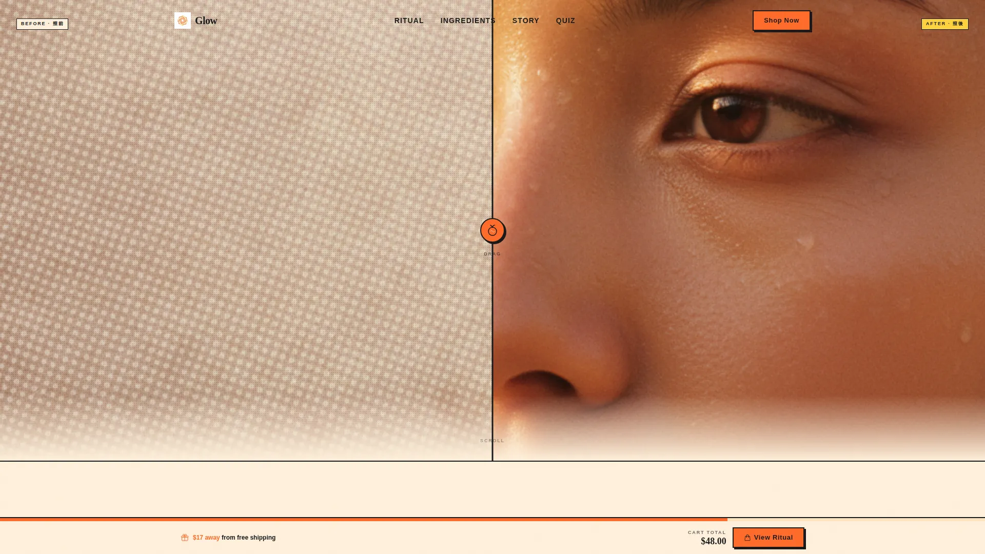 Premium Beauty Landing Page Template