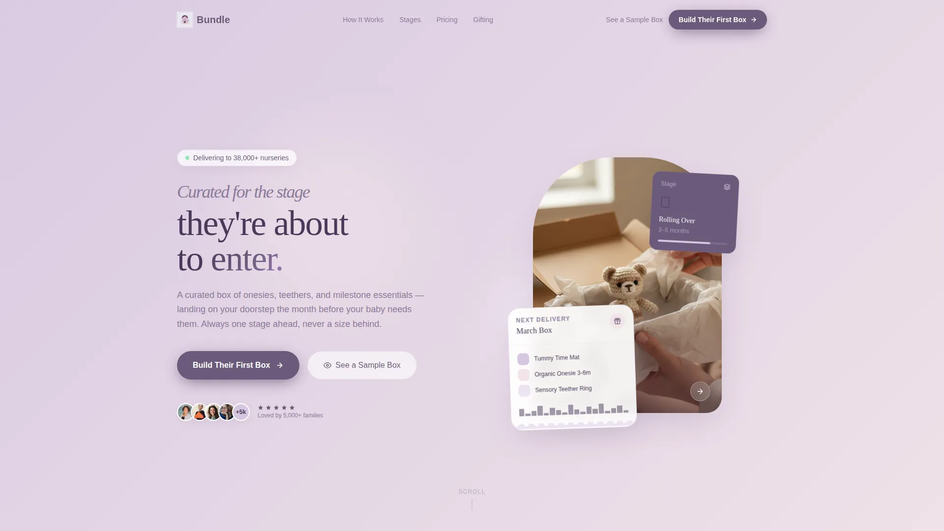 Specialist Subscription Box Services Professional Website Template