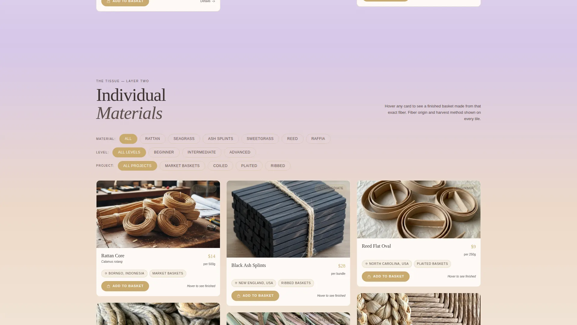 Advanced Hobby & Passion Supplies Pre-Launch & Coming Soon Website Template