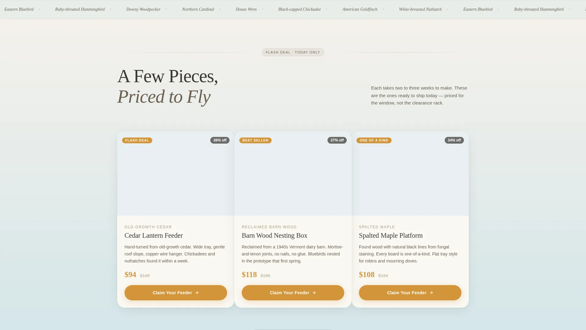 Artisan Bird Feeder & Birdhouse Flash Deal Landing Page