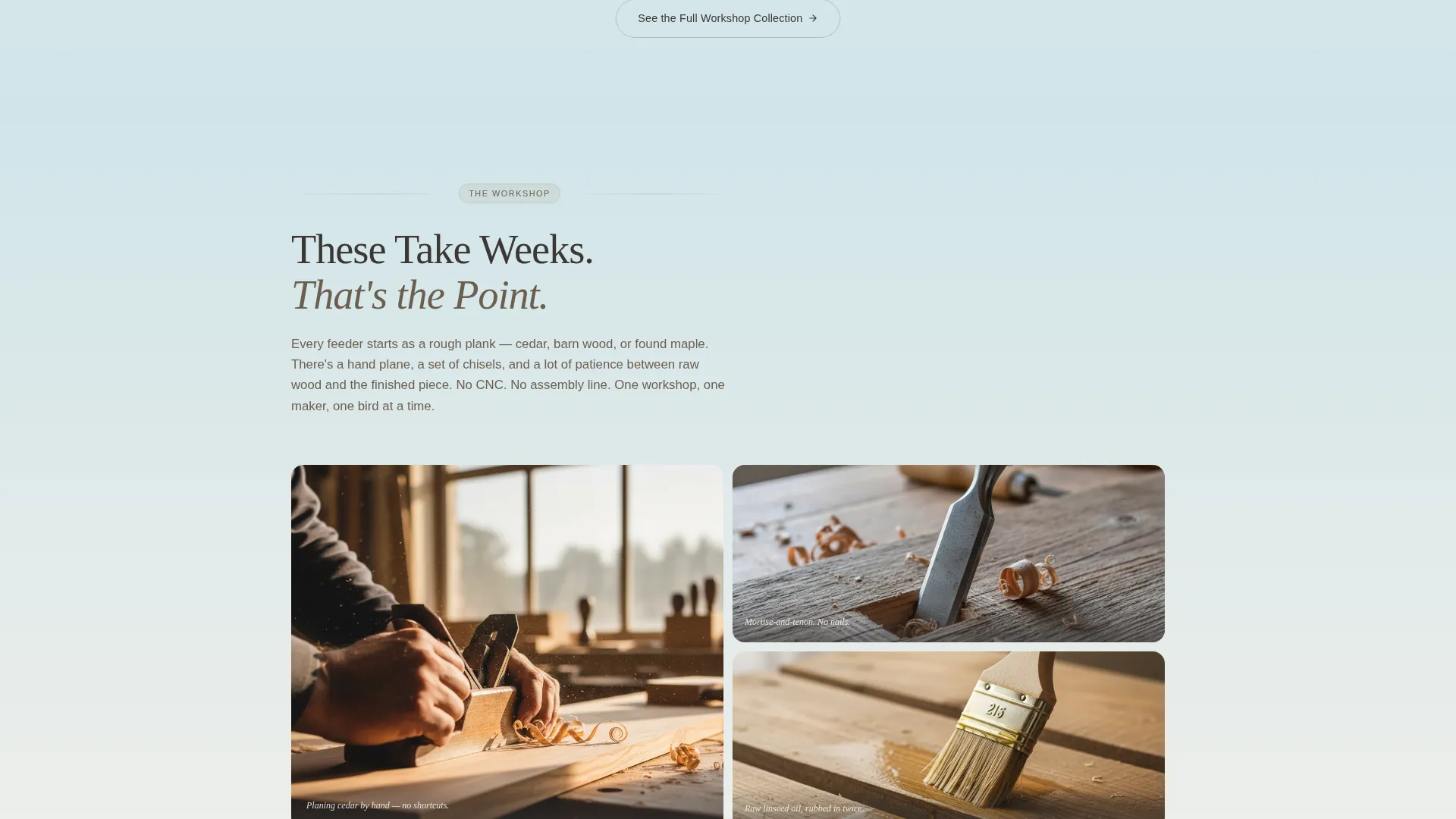 Artisan Bird Feeder & Birdhouse Flash Deal Landing Page