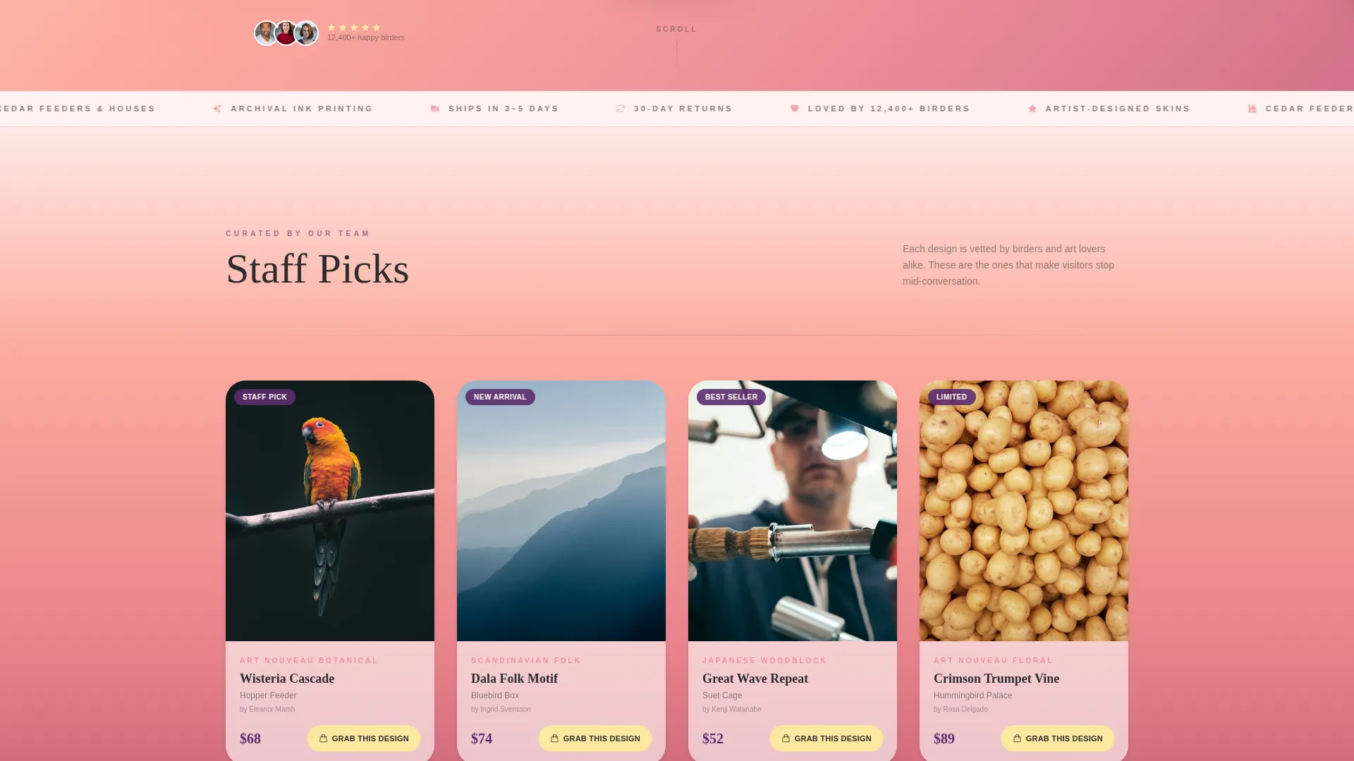 Bird Feeder Store Landing Page Template