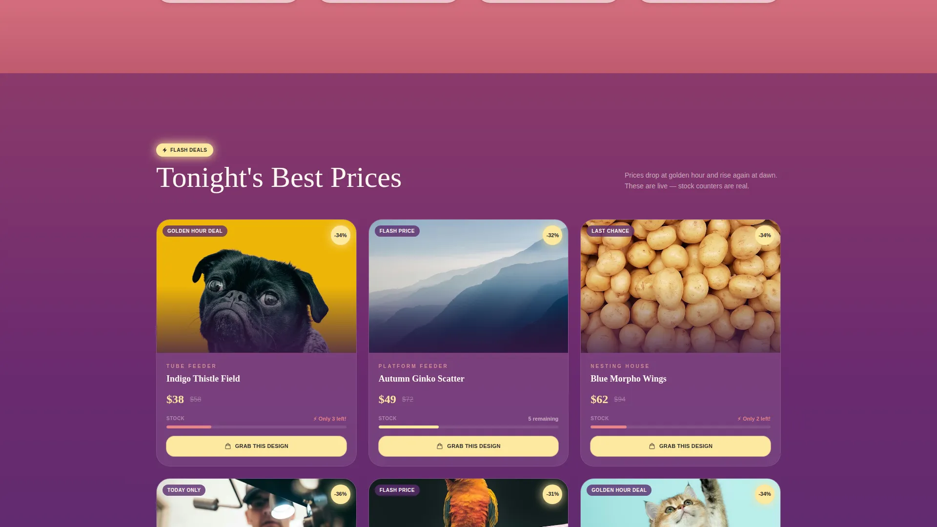 Bird Feeder Store Landing Page Template