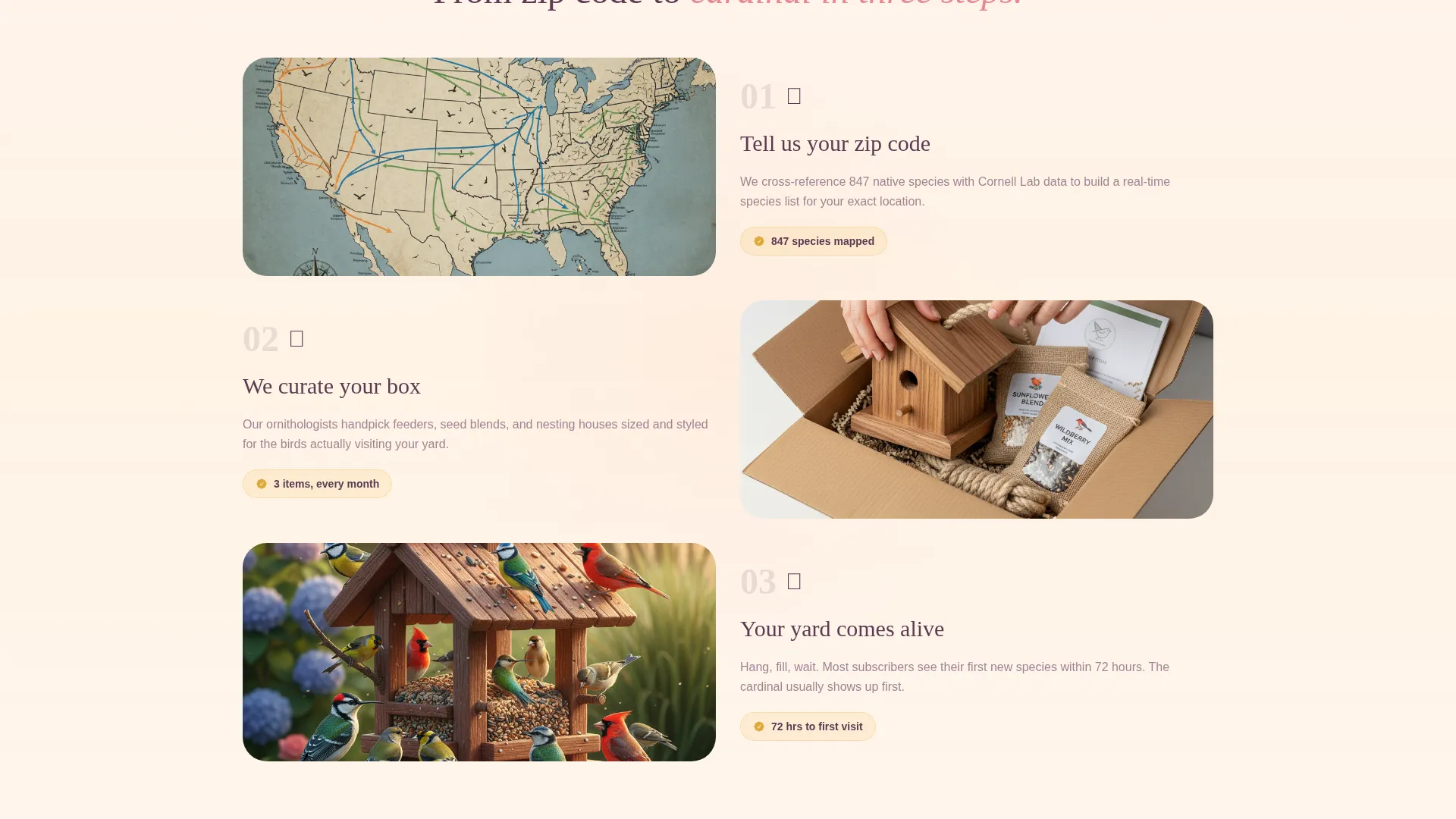 Premium Feeders Landing Page Template