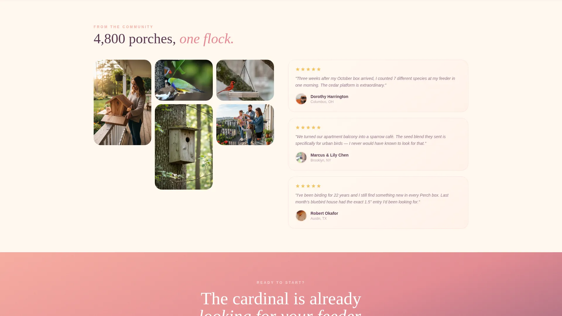 Premium Feeders Landing Page Template