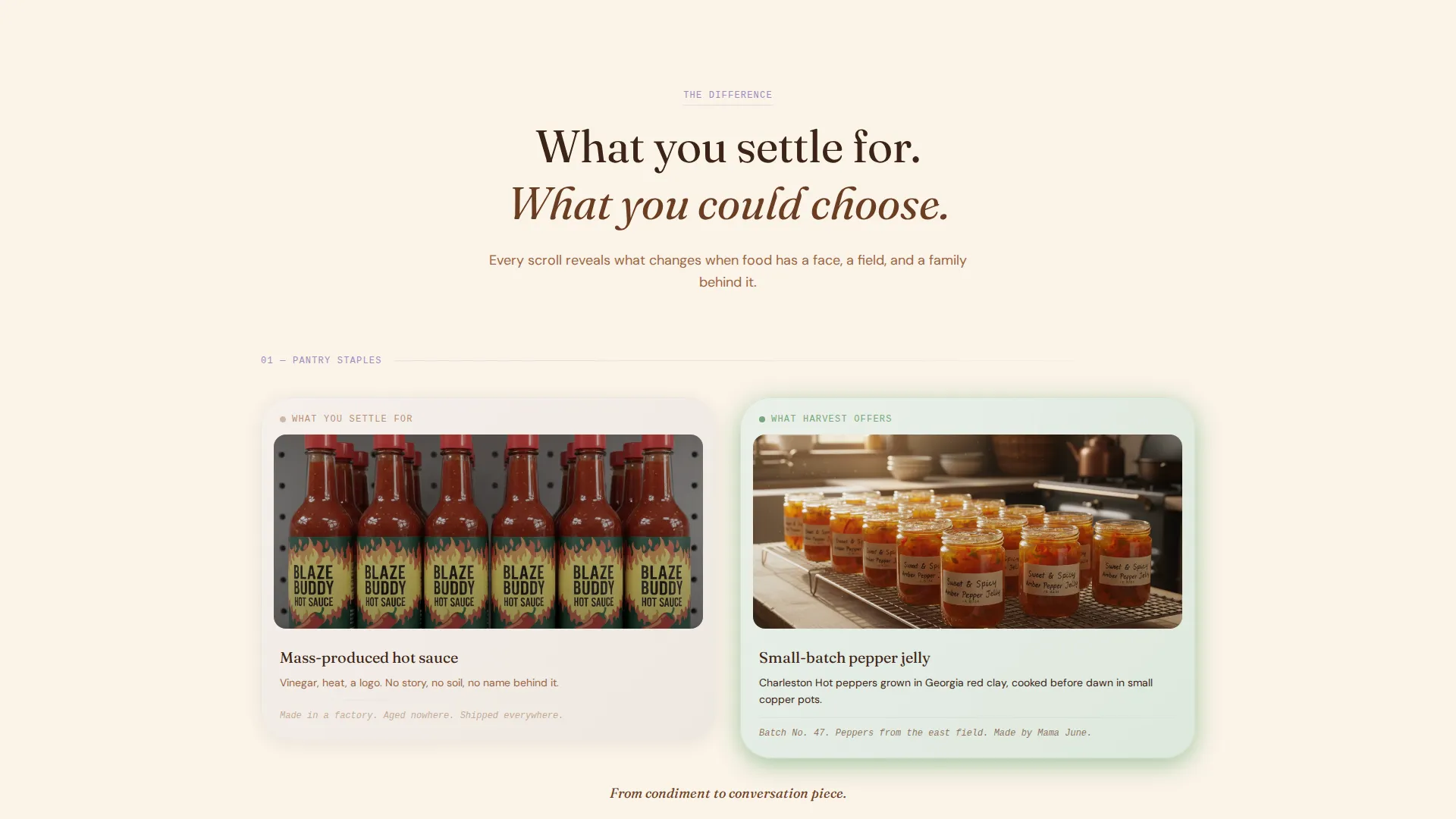 Black-Owned Farm Landing Page Template