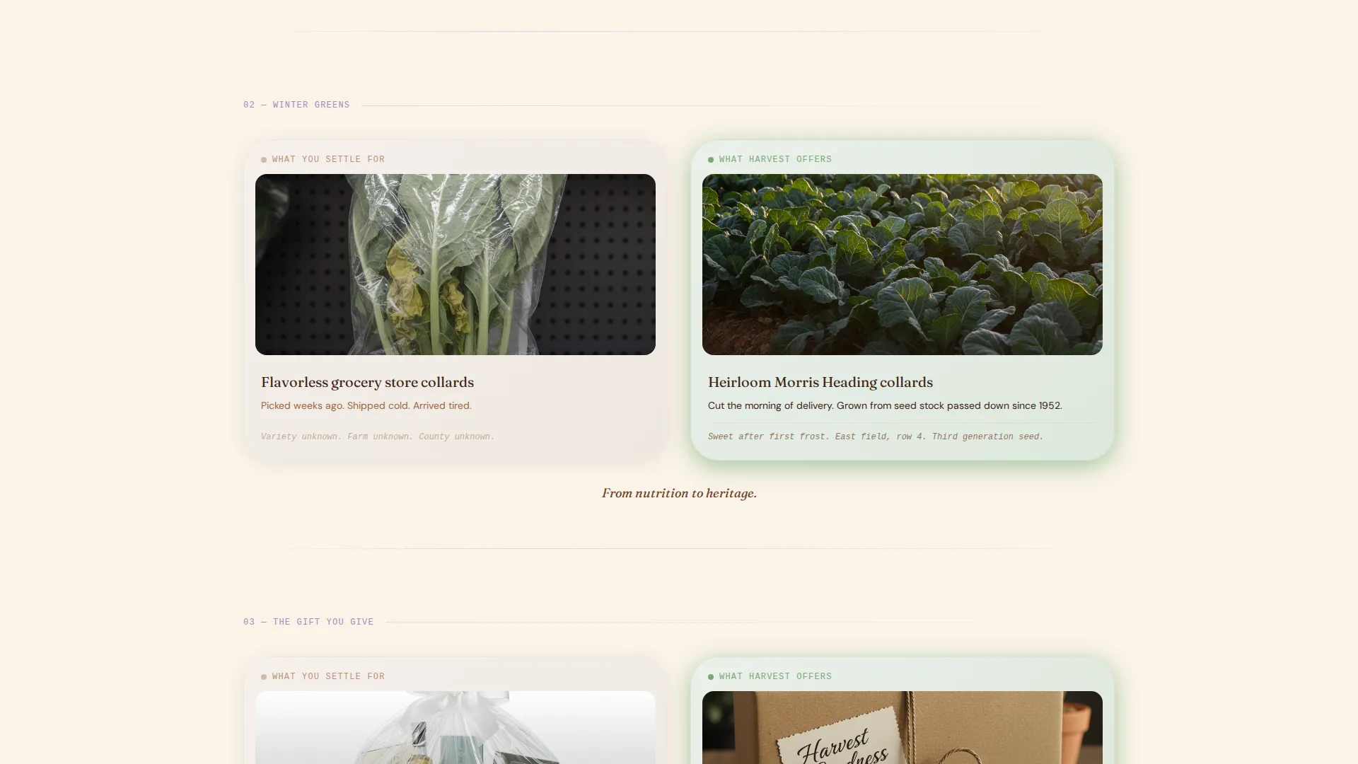 Black-Owned Farm Landing Page Template