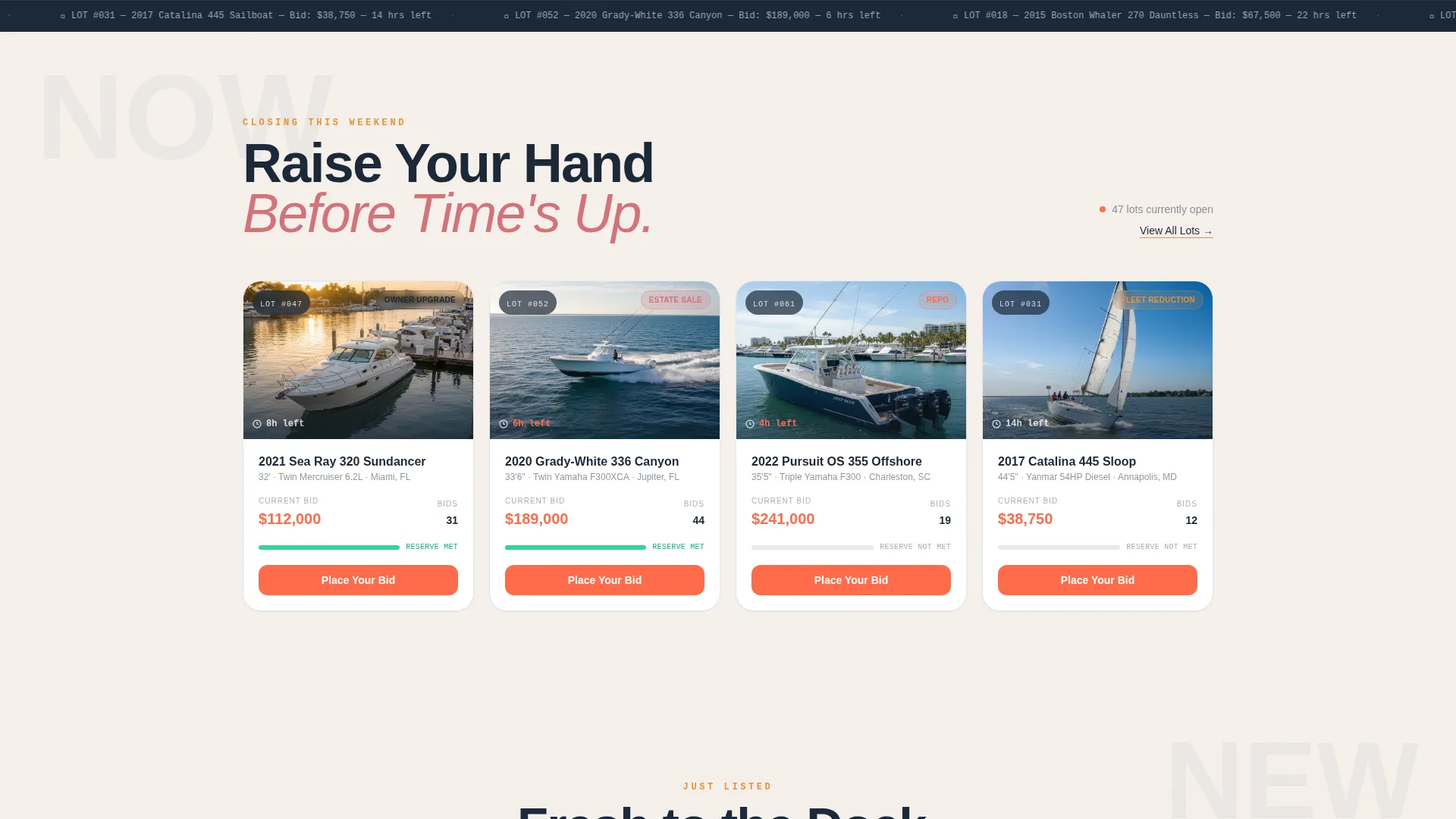 Specialist Auction Platforms & Types Pre-Launch & Coming Soon Website Template