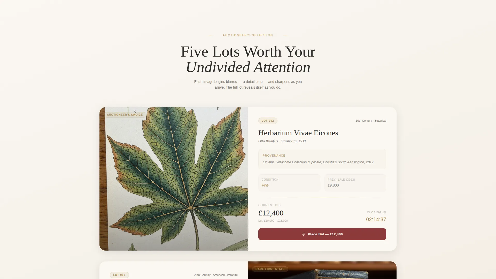 Specialist Auction Platforms & Types Professional Website Template