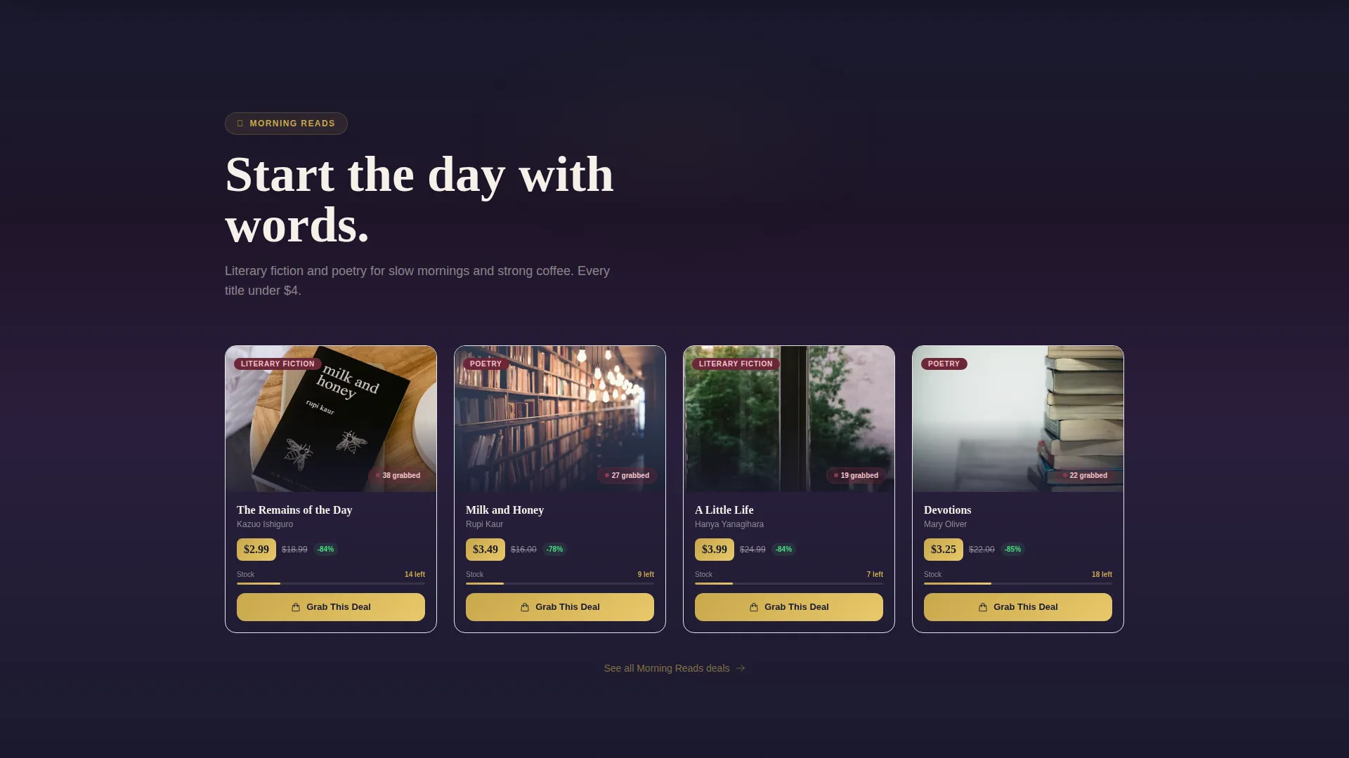 Books & Media Flash Sale Landing Page Template