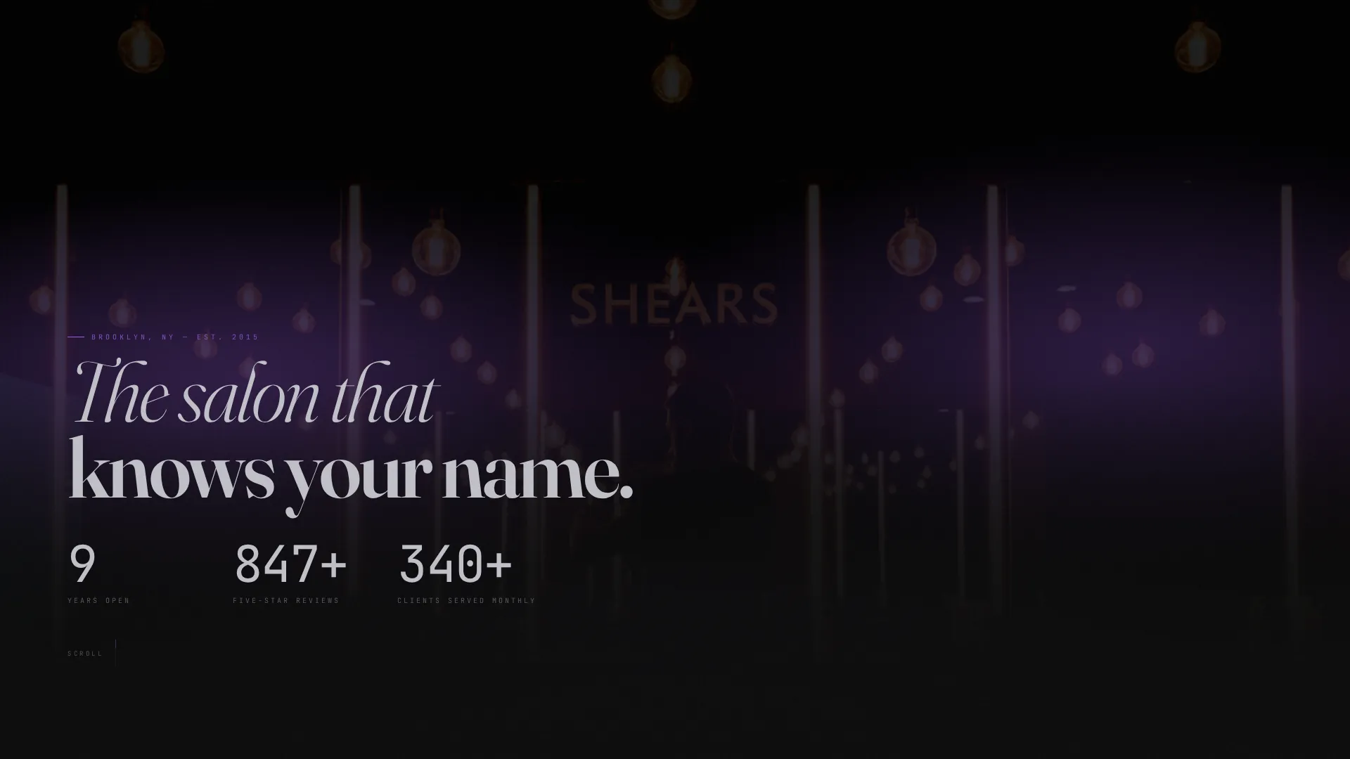 Hair Salon Specialist Booking Website Template