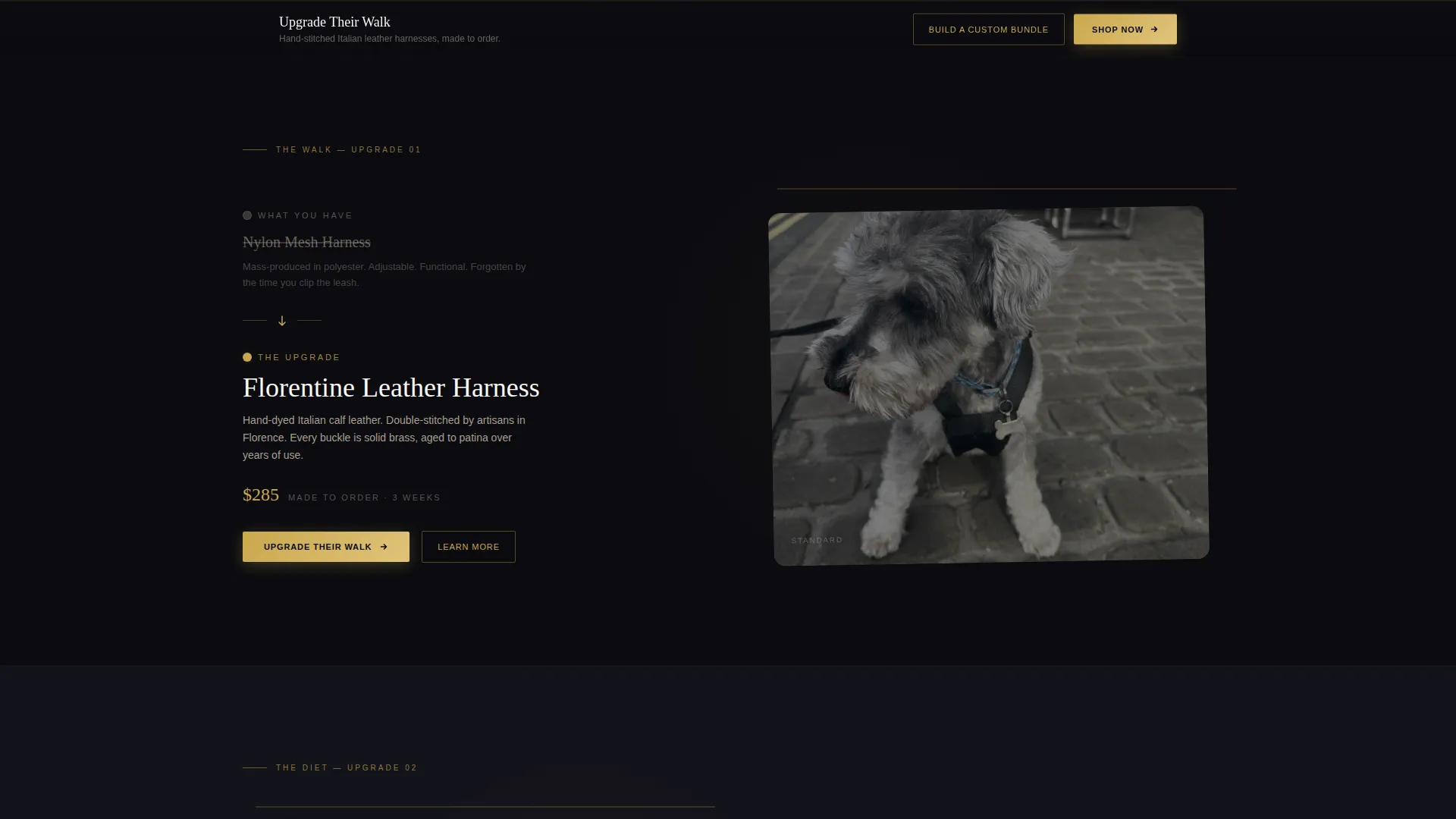 Luxe Boutique Pet Shop Landing Page Template