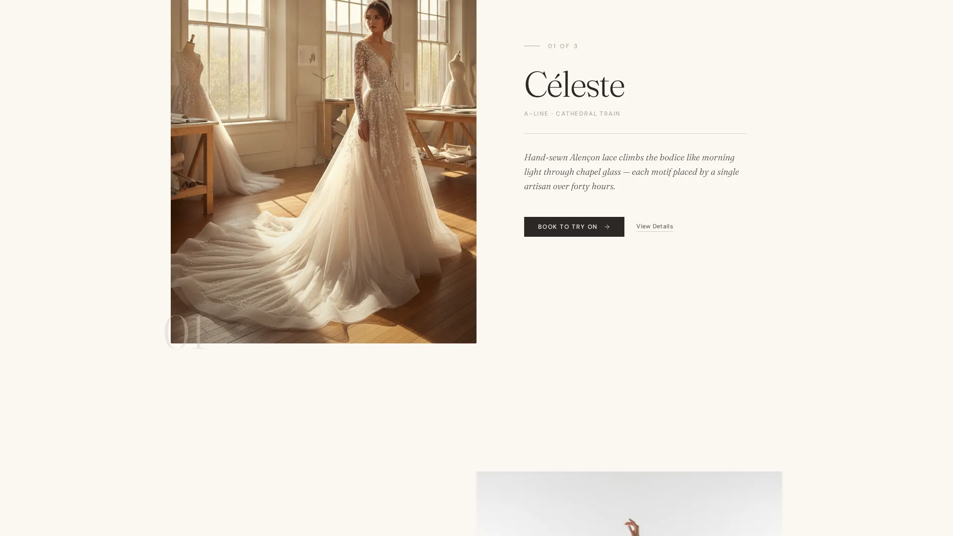 Advanced Local Brick & Mortar Business Appointment Booking Website Template