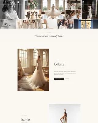 Advanced Local Brick & Mortar Business Appointment Booking Website Template