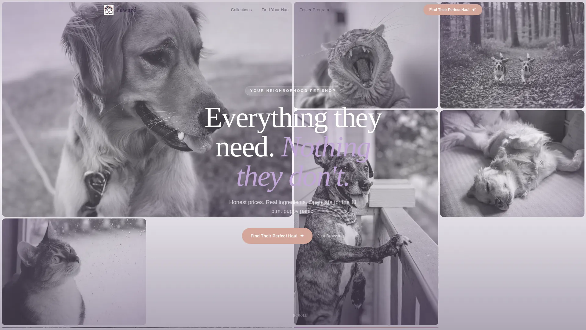Affordable Pet Shop Landing Page Template