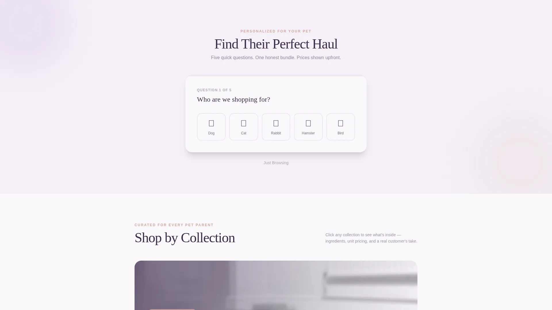 Affordable Pet Shop Landing Page Template