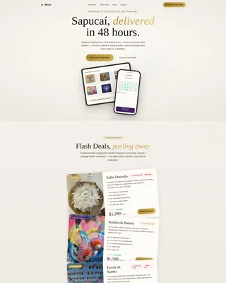 Luxe Carnival Rental Landing Page Template