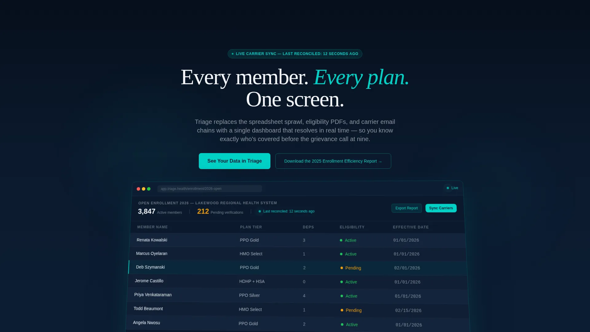 Healthcare Software Careers Website Template