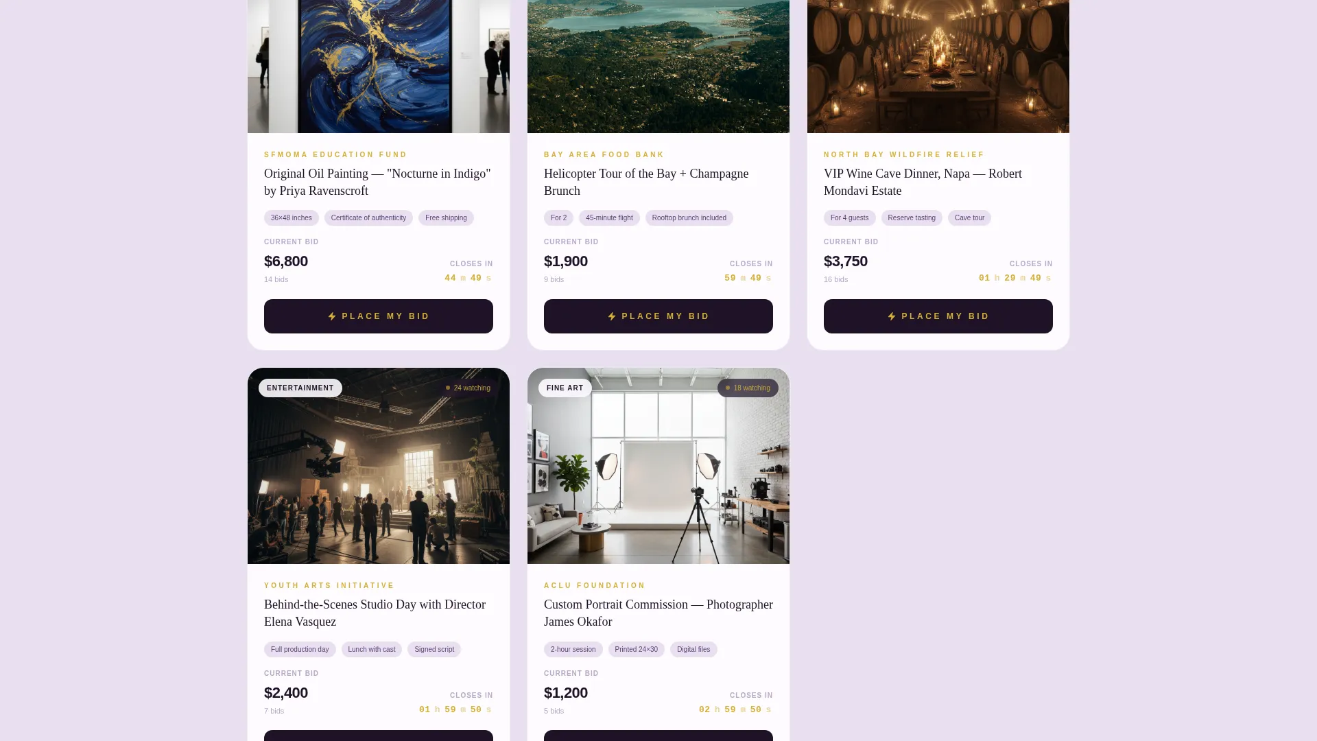 Advanced Auction Platforms & Types Pre-Launch & Coming Soon Website Template
