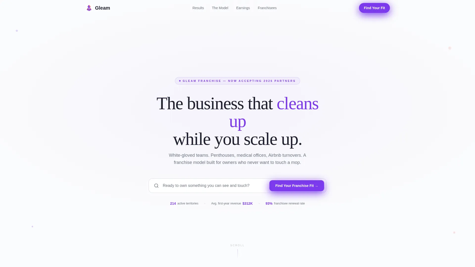 Cleaning Franchise Landing Page Template