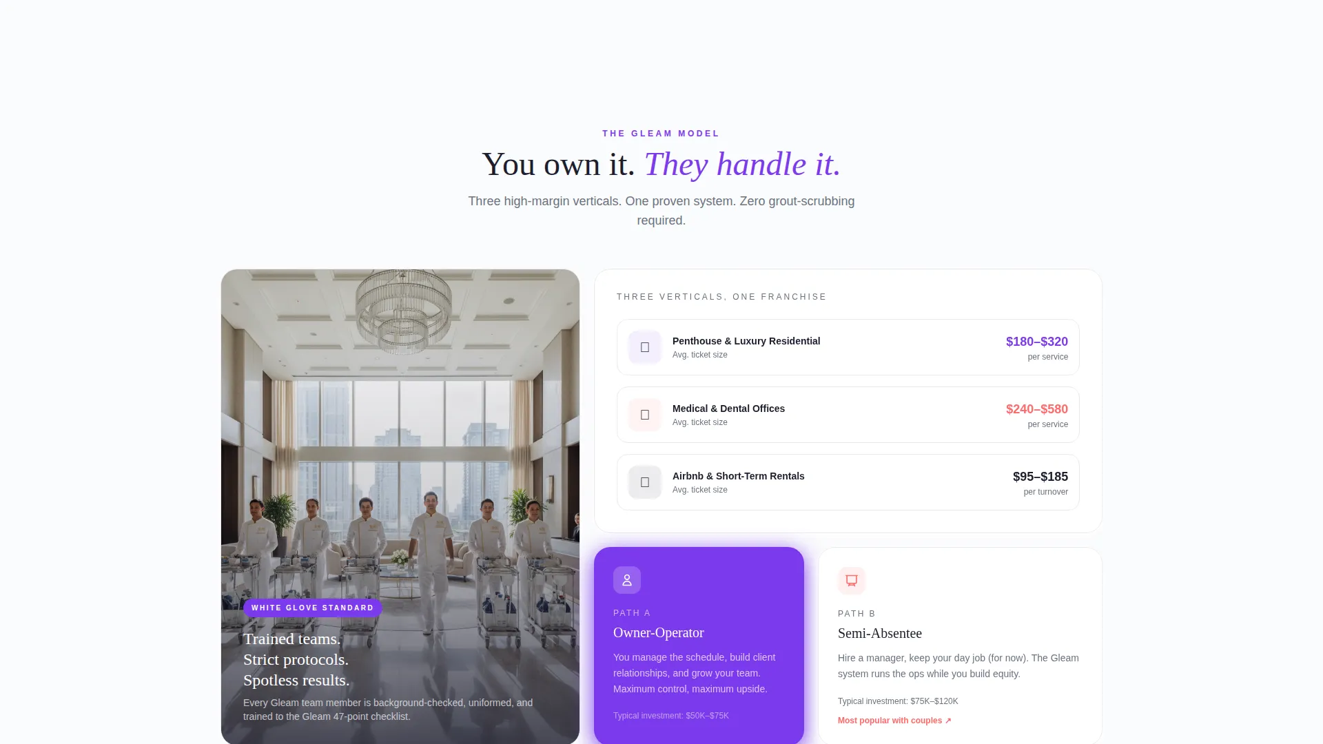 Cleaning Franchise Landing Page Template