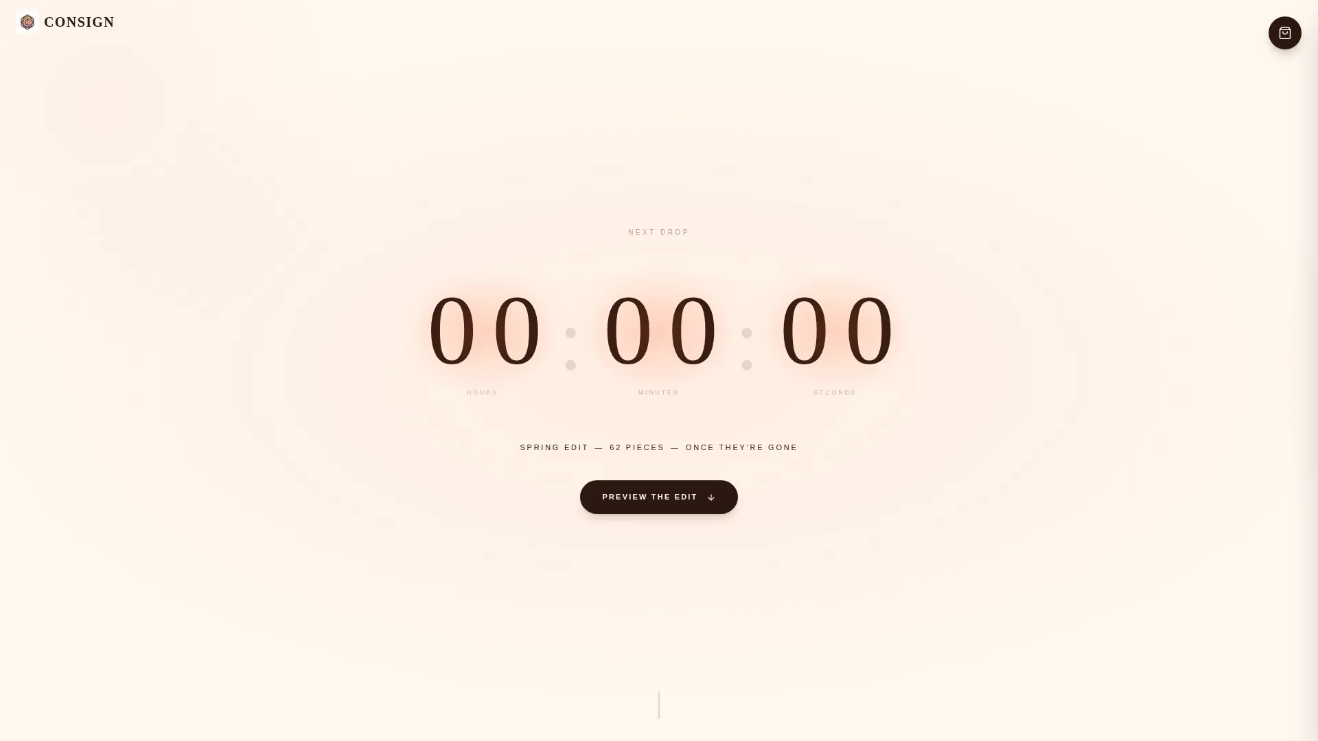 Curated Vintage Consignment Landing Page Template