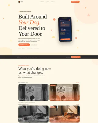 Advanced Subscription Box Services Portfolio & Case Study Website Template