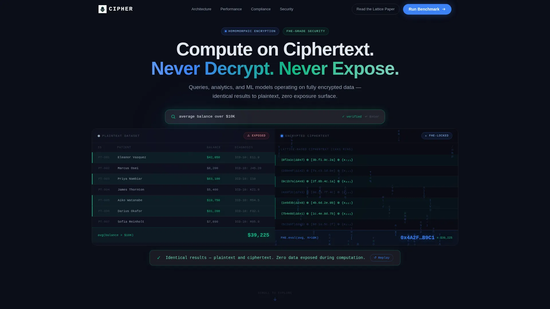 Homomorphic Encryption Landing Page Template