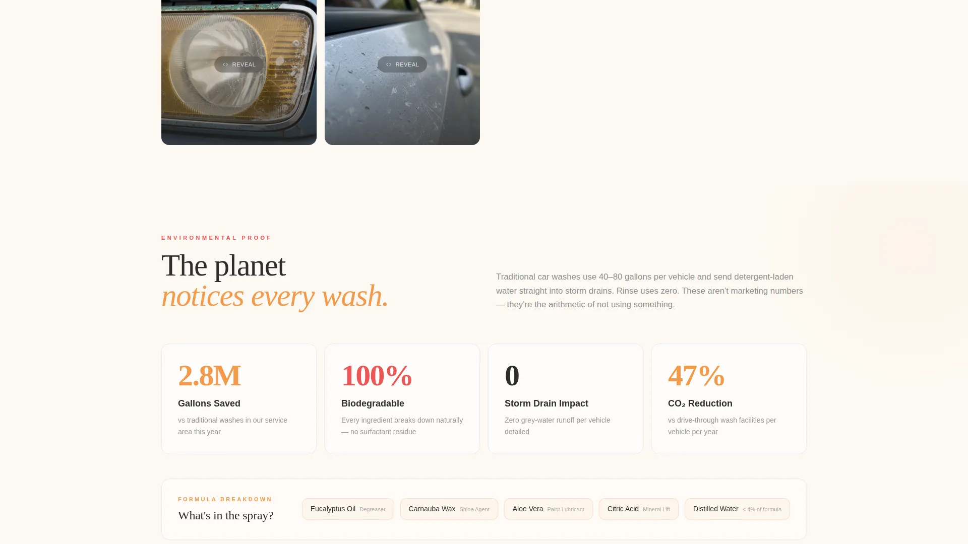 Eco-Friendly Business Specialist Booking Website Template
